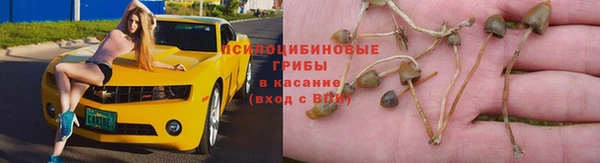 прущая мука Баксан