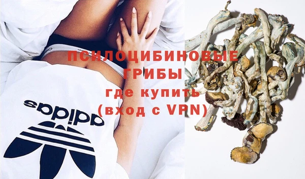 СК Балахна